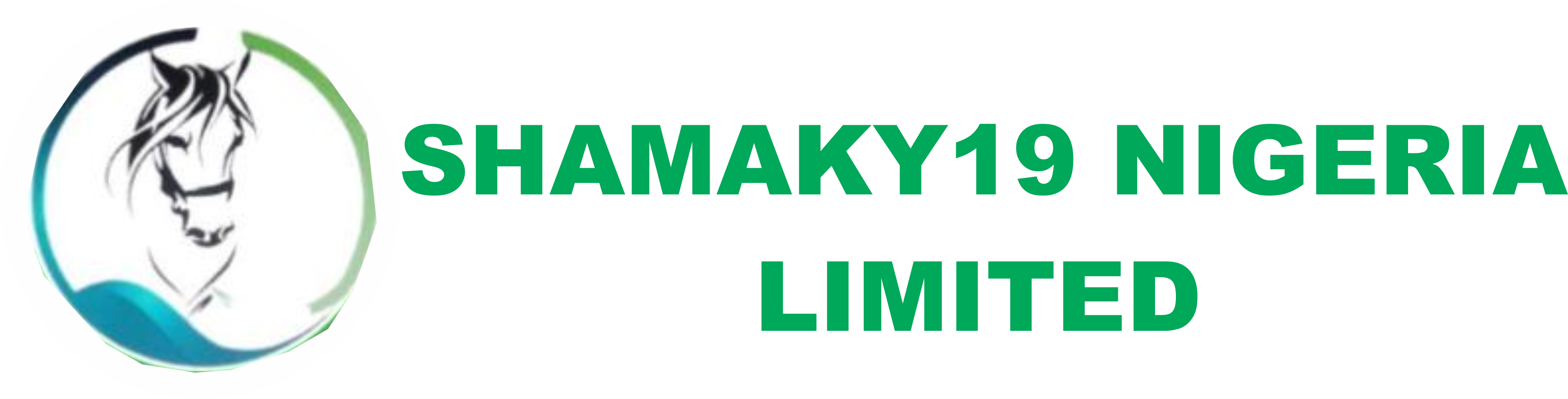 Shamaky19 Nigeria Limited